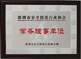 深圳安防協會常務理事單位擺閘廠家